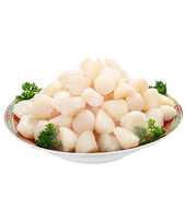 Frozen Scallops 1Kg - KAP