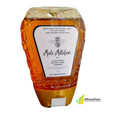 Load image into Gallery viewer, Wildflower honey squeeze bottle 250g - Migross
