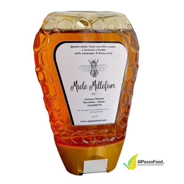 Wildflower honey squeeze bottle 250g - Migross