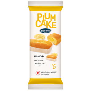 Plum Cake Apricot 270g - Bononia