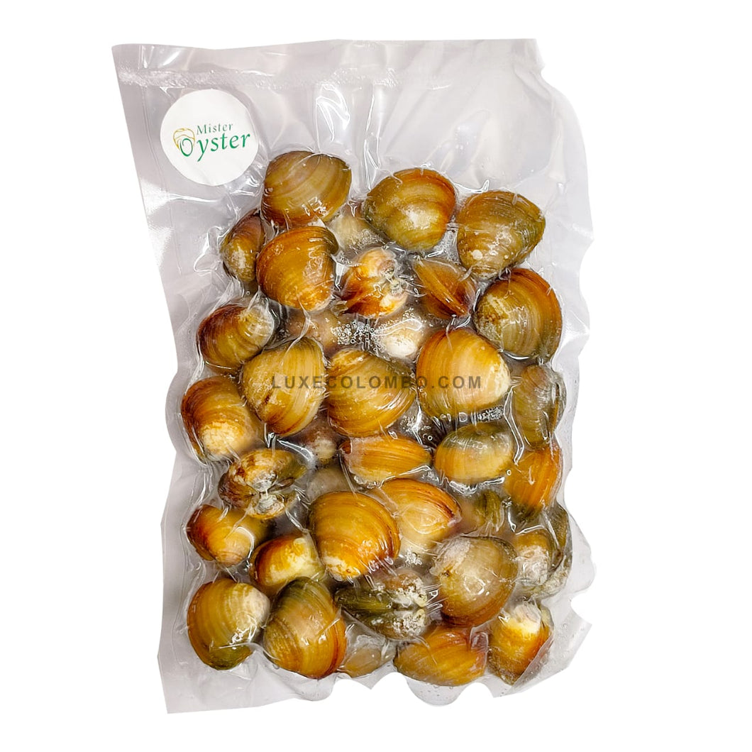 Sea clams 500g - Mister Oyster